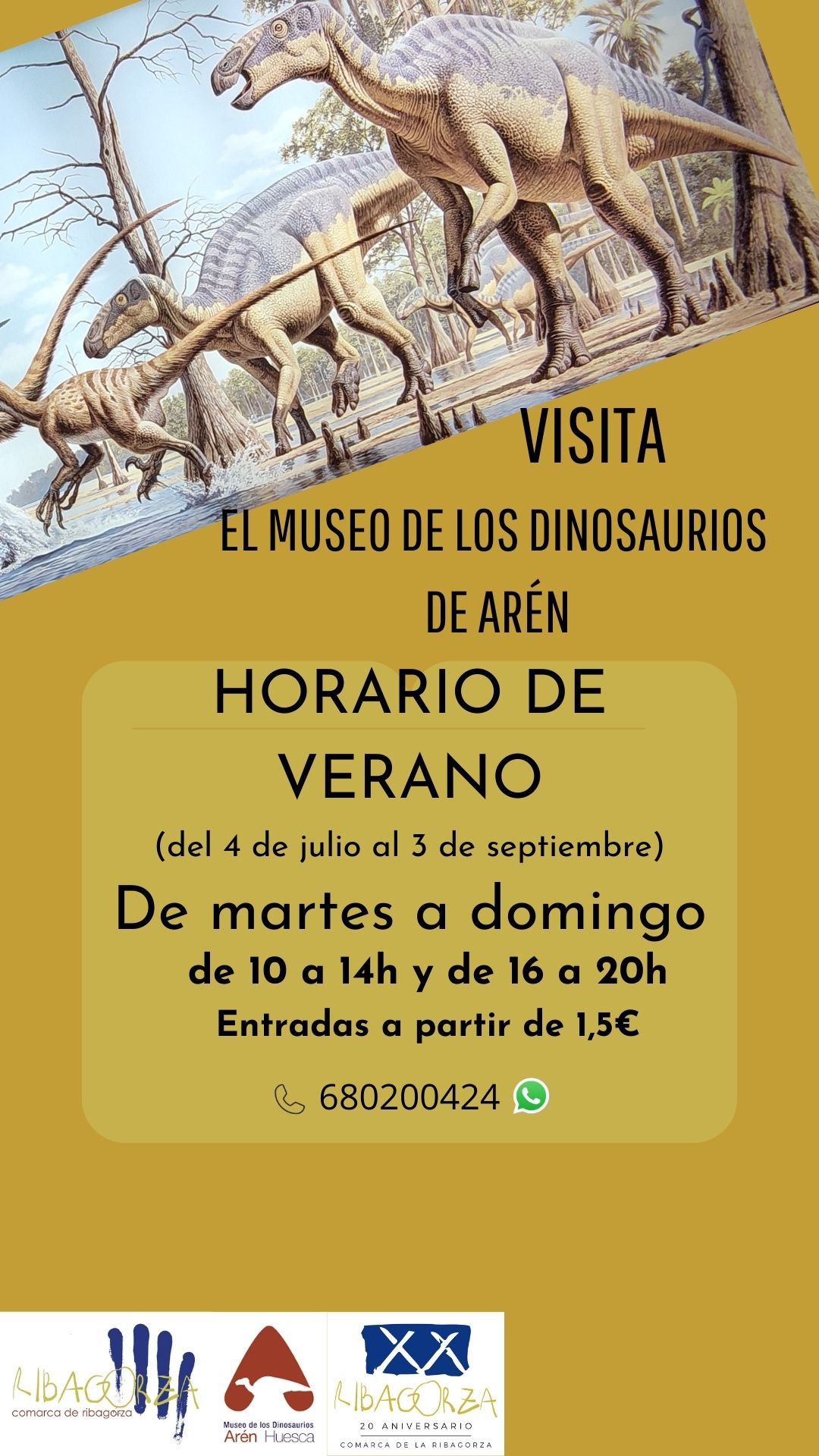 Museo dinos verano 2023